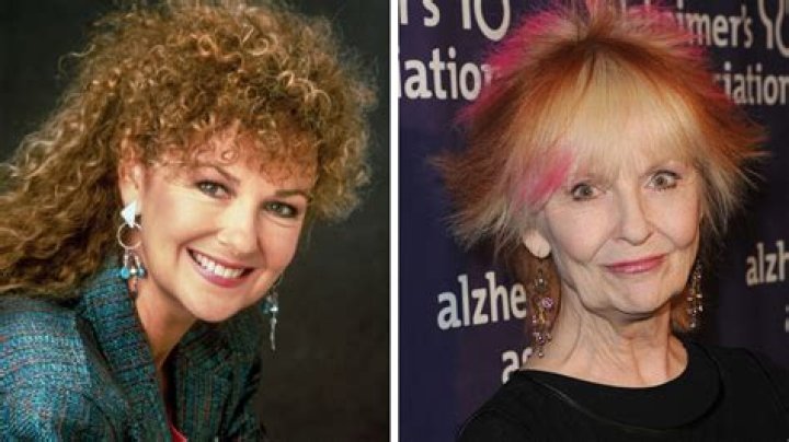 Shelley Fabares: A Look at the Enduring Career of a Beloved Star