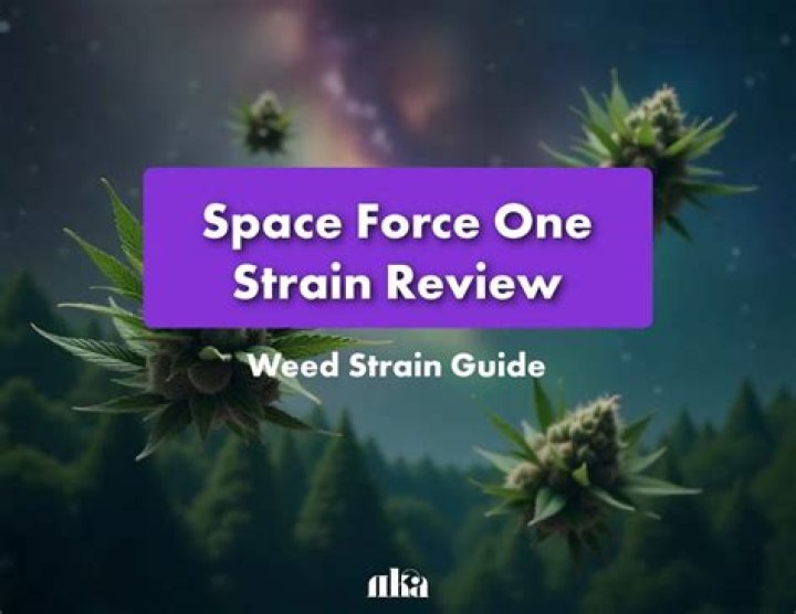 space case weed strain review