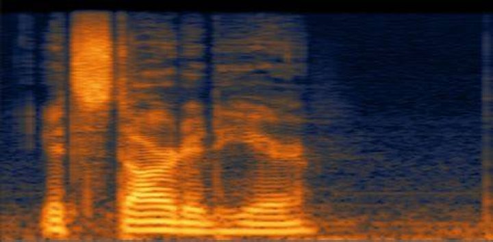Spectrogram/Waveform Display - RX 9 Help