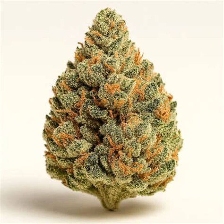 strain weed names - gushers weed strain
