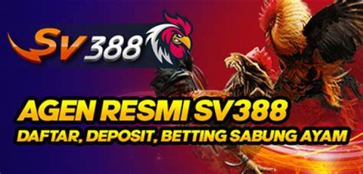 Strategi Meningkatkan Kekuatan Pukulan Sabung Ayam Online Sv388 Dan Rahasia Pukulan Cepat Yang Mematikan