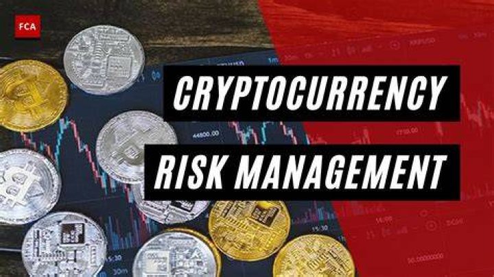 The Cryptocurrency Guru's Journey and Impact