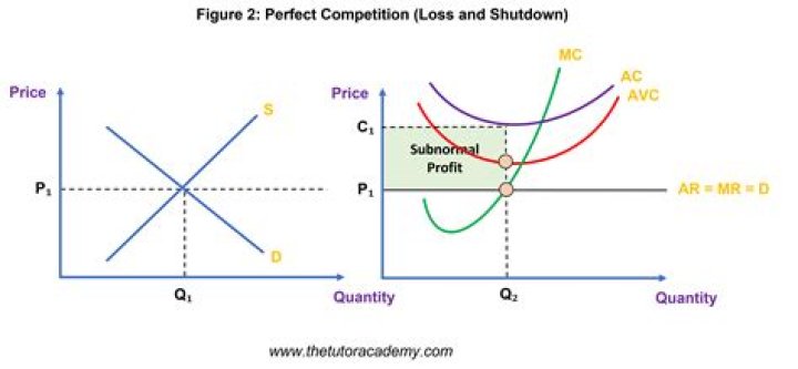 The Evolved Fight: How Competition Changes Over Time