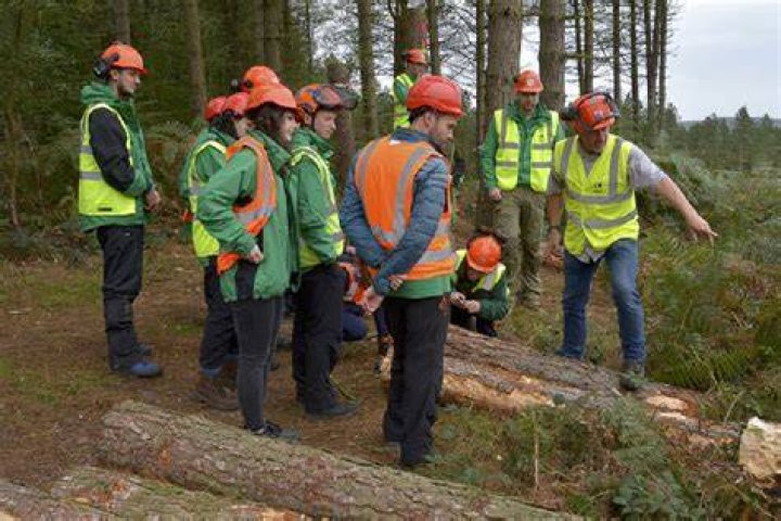 The first phase of the Forestry Commission’s new approach to consultation is live
