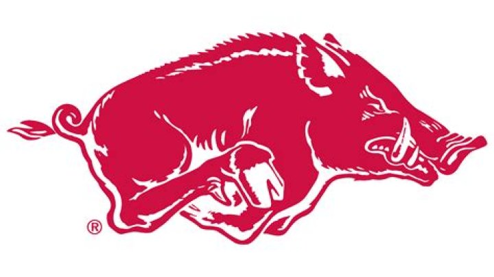 The History of Maverick HOG Chapter