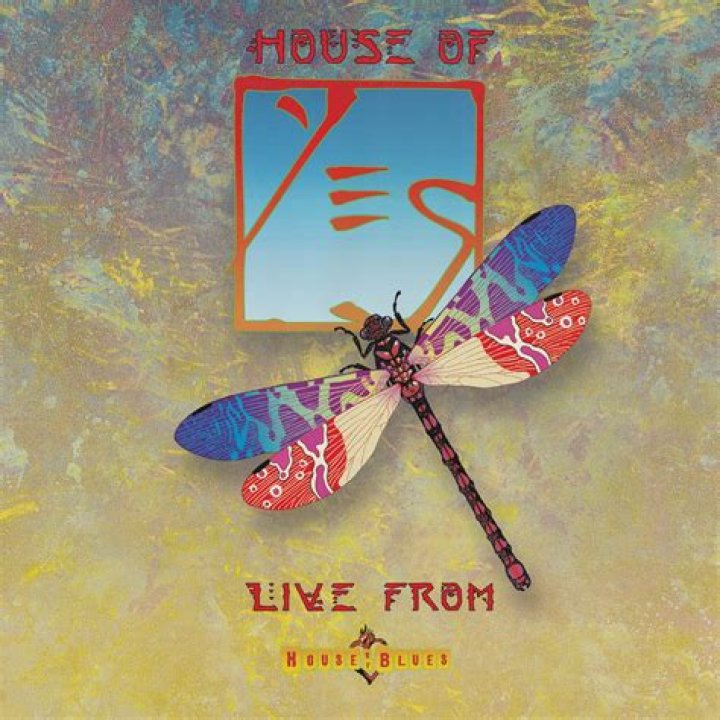 The House of Yes- About the Author