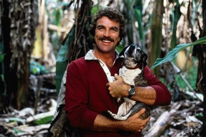 Tom Selleck: Unpacking the Life of an Enduring Star, From Magnum P.I. to Today