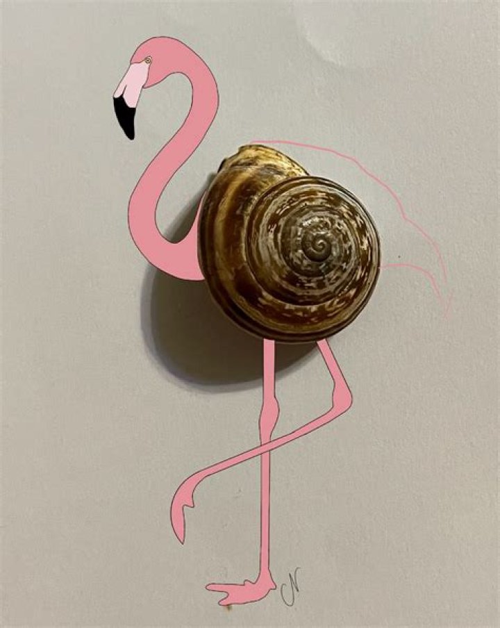 Transforming Objects