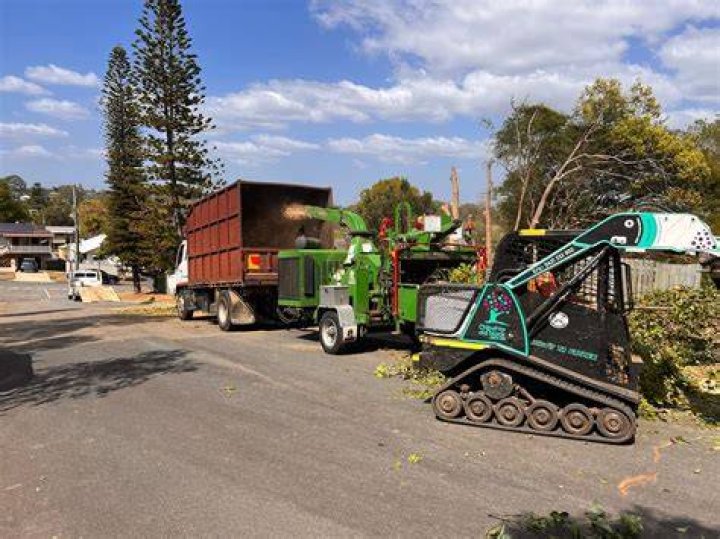 Tree Removal Brisbane Southside - Chip Off The Old Block