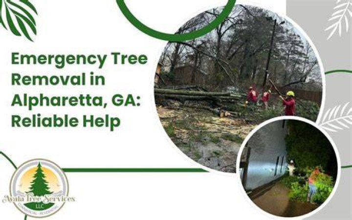 Tree Removal in Alpharetta GA