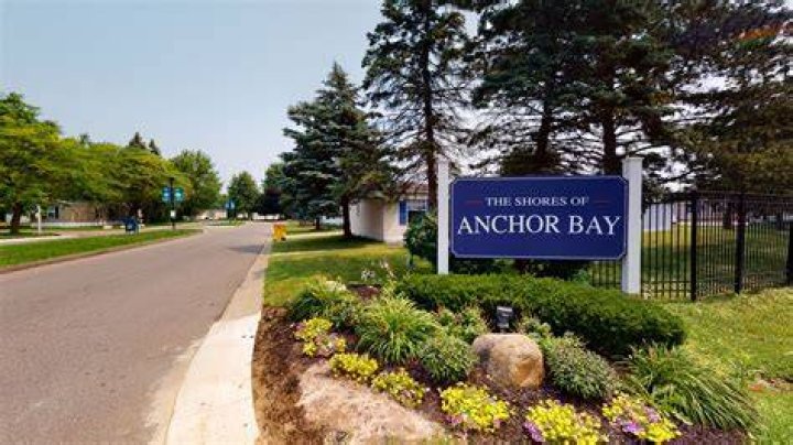 Tree Removal in Anchor Bay Gardens MI