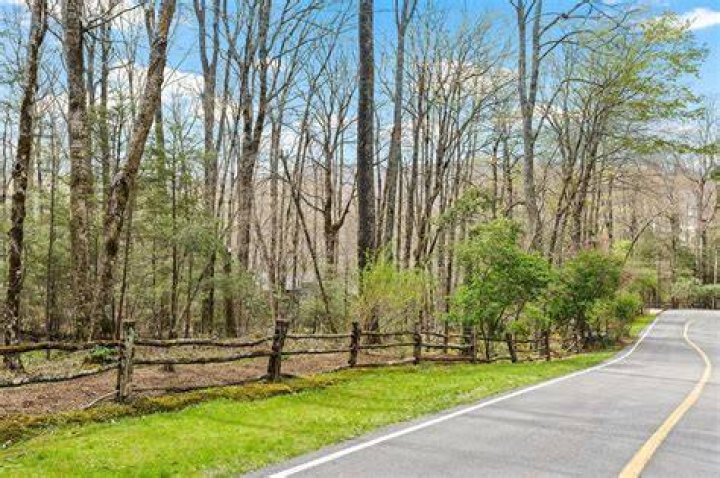 Tree Removal in Avery Creek NC