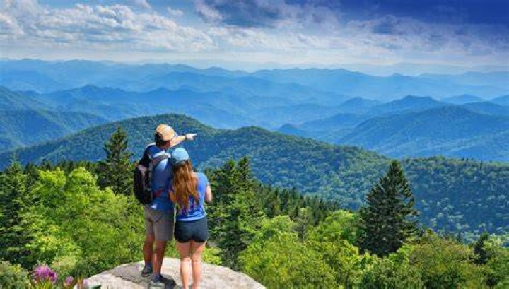 Tree Removal in Blue Ridge GA