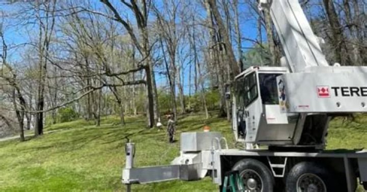 Tree Removal in Brentwood TN