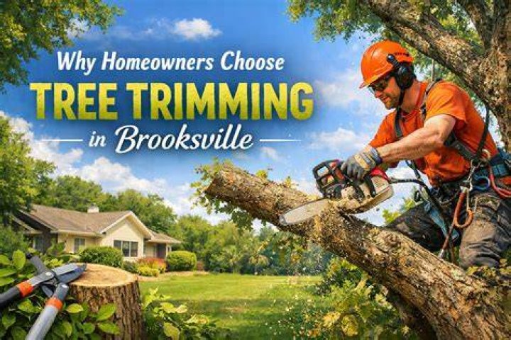 Tree Removal in Brooksville ME