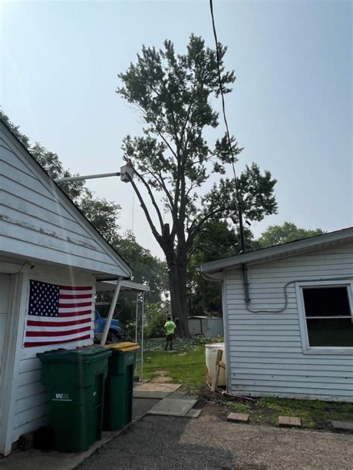 Tree Removal in Carlisle PA