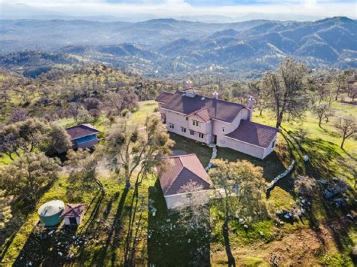 Tree Removal in Catheys Valley CA