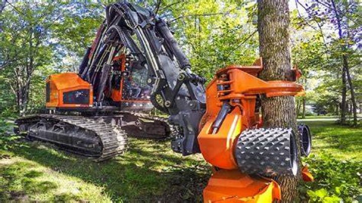 Tree Removal in Clarks Falls CT