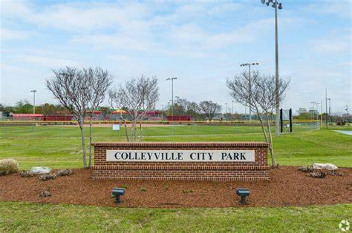 Tree Removal in Colleyville TX