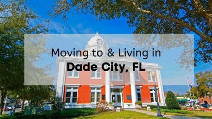 Tree Removal in Dade City North FL