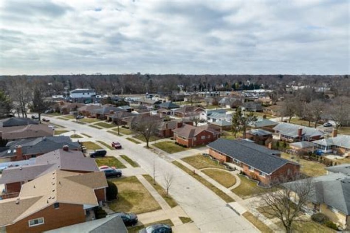 Tree Removal in Dearborn Heights MI