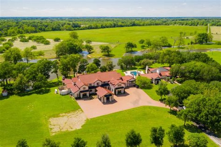 Tree Removal in El Paso TX