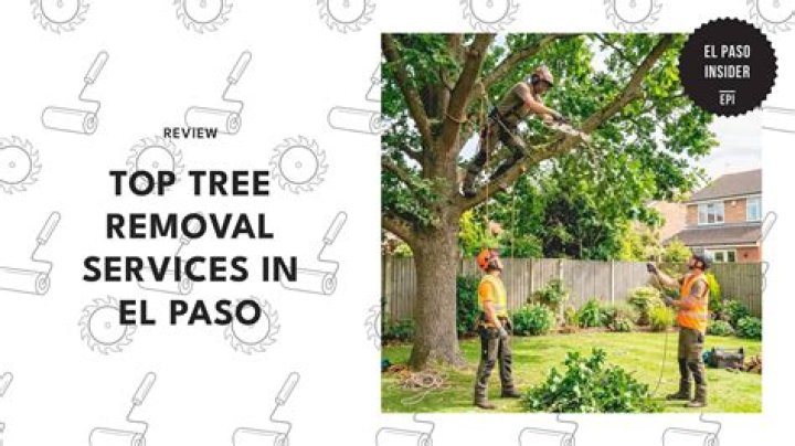 Tree Removal in El Paso WI