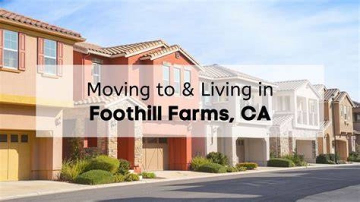 Tree Removal in Foothill Farms CA