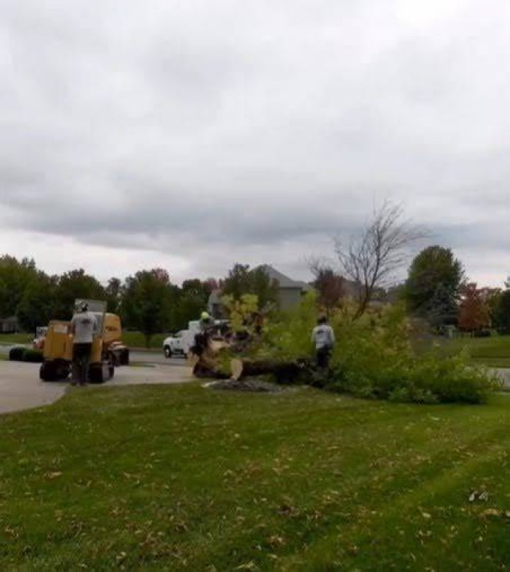Tree Removal in Fort Wayne IN