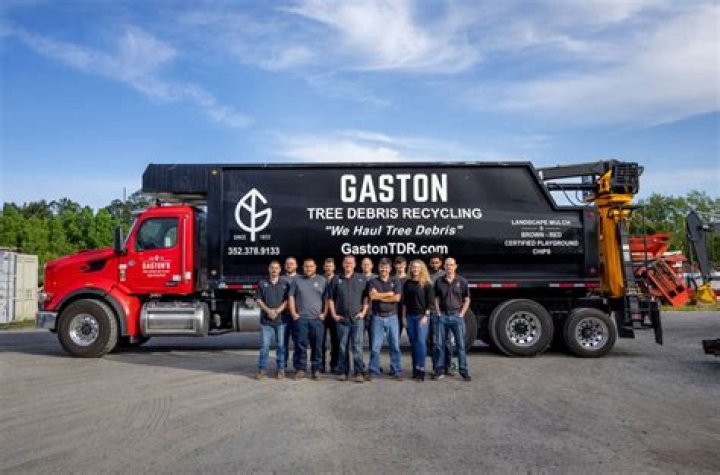 Tree Removal in Gaston OR