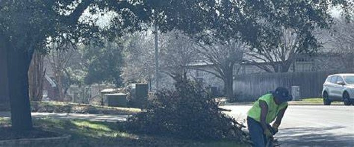 Tree Removal in Georgetown TX