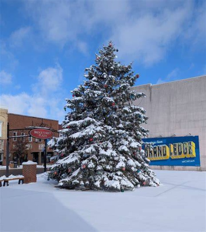 Tree Removal in Grand Ledge MI