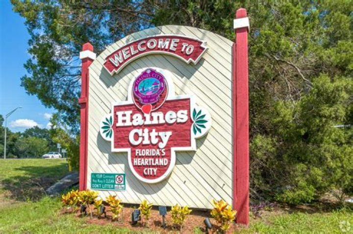 Tree Removal in Haines City FL