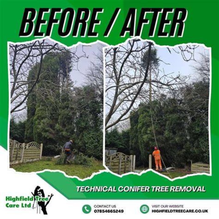 Tree Removal in Highfield Cascade MD