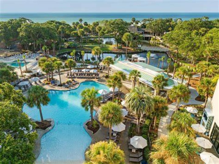 Tree Removal in Hilton Head Island SC