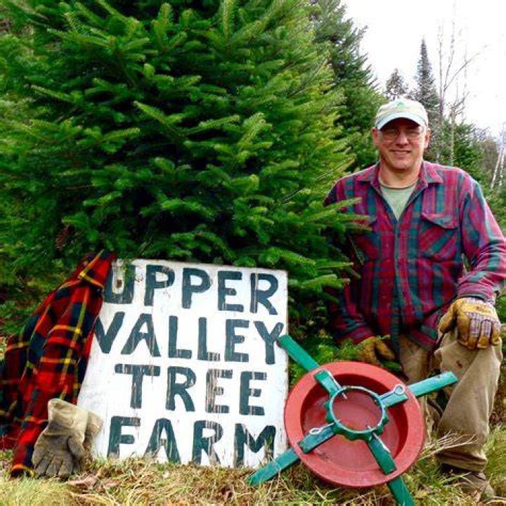 Tree Removal in Jeffersonville VT