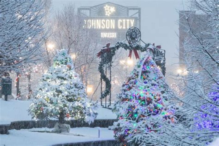 Tree Removal in Johnson City TN