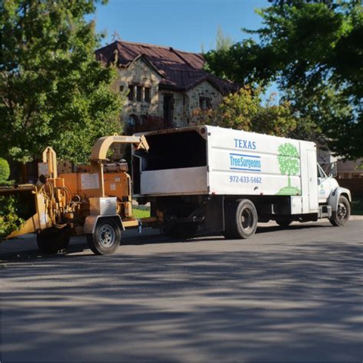 Tree Removal in Killeen TX
