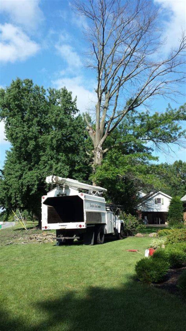 Tree Removal in Lancaster PA