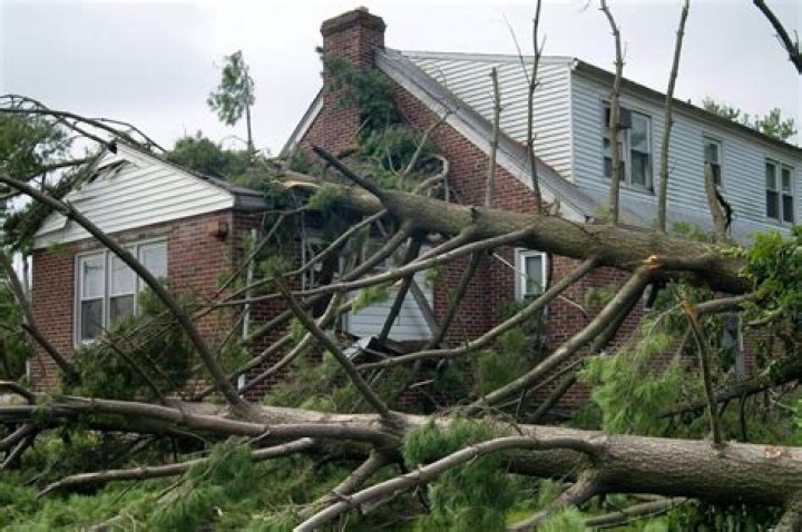 Tree Removal in Lorain OH