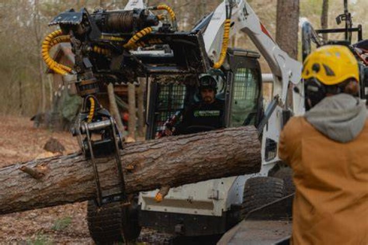 Tree Removal in Lyons GA