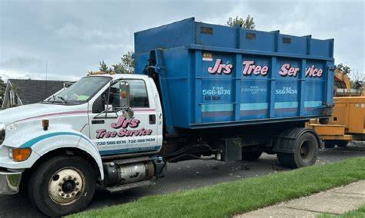 Tree Removal in New Monmouth NJ