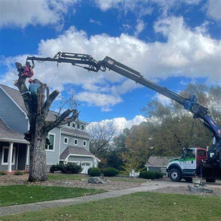 Tree Removal in Newport TN