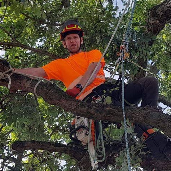 Tree Removal in North Norwich NY