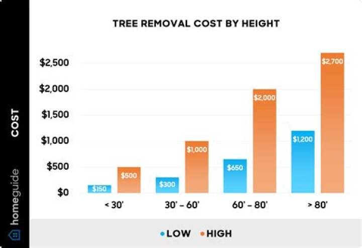 Tree Removal in Oxford AL