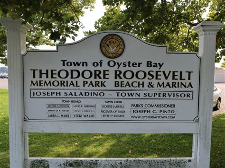 Tree Removal in Oyster Bay NY