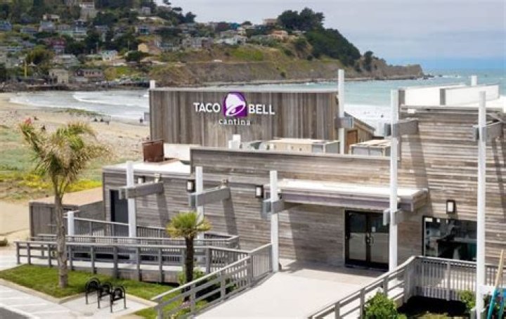 Tree Removal in Pacifica CA