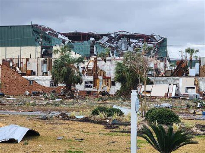 Tree Removal in Panama City Beach FL