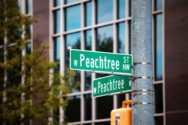 Tree Removal in Peachtree City GA