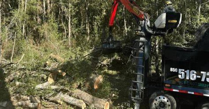 Tree Removal in Pensacola FL